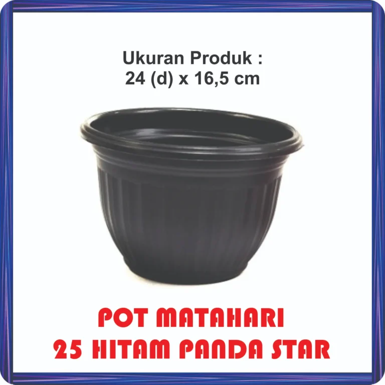 pot matahari 25 hitam panda star