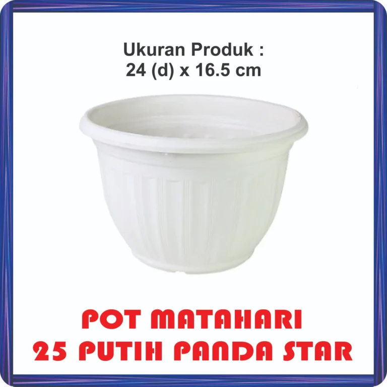 pot matahari 25 putih panda star